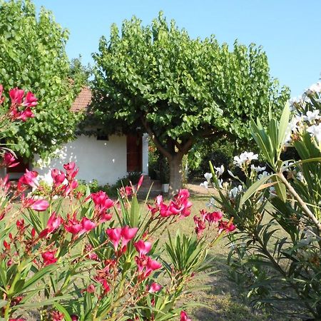 Engin Pension Cirali Exterior photo