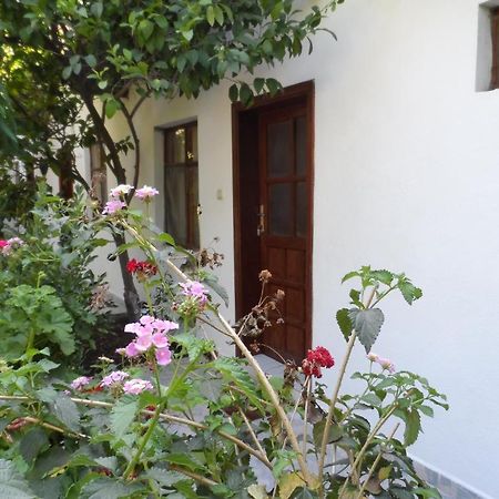 Engin Pension Cirali Exterior photo