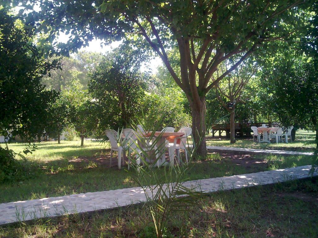 Engin Pension Cirali Exterior photo