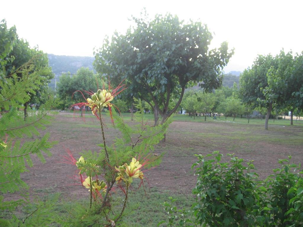 Engin Pension Cirali Exterior photo