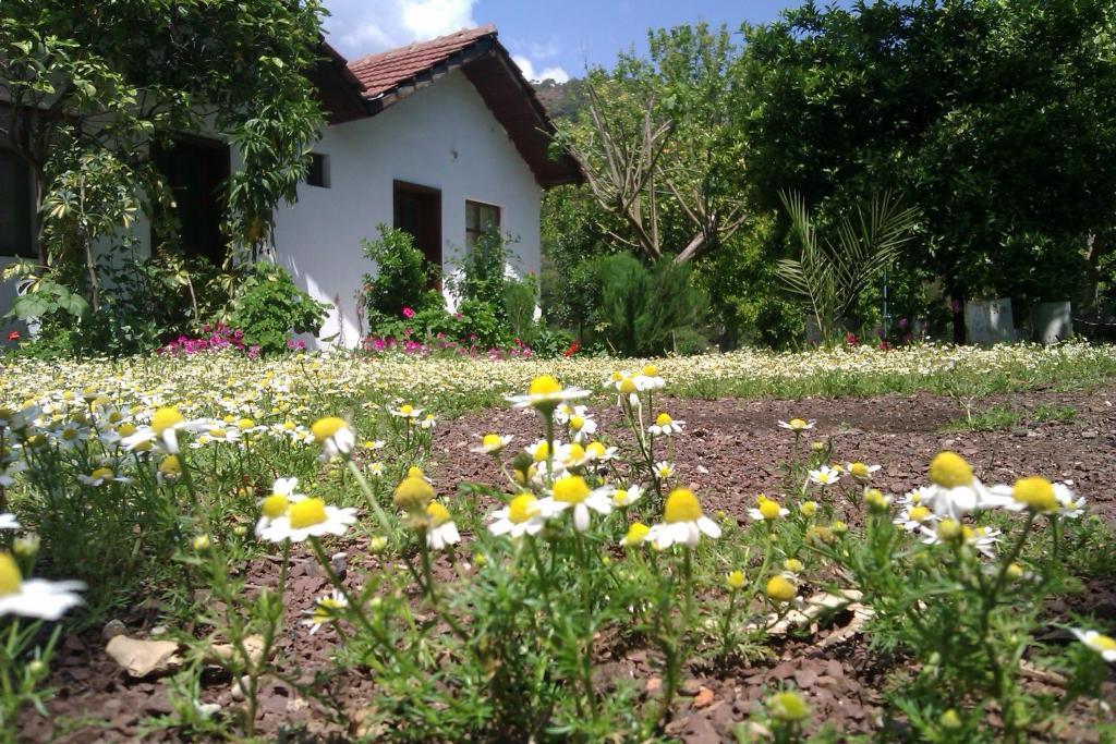 Engin Pension Cirali Exterior photo