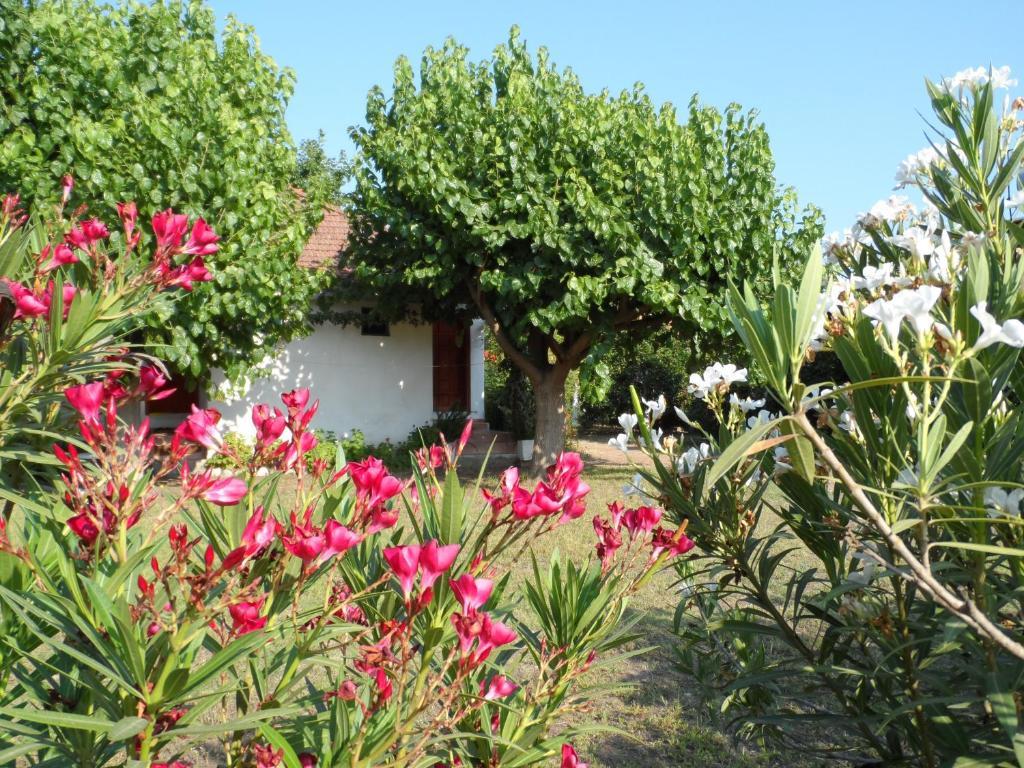 Engin Pension Cirali Exterior photo