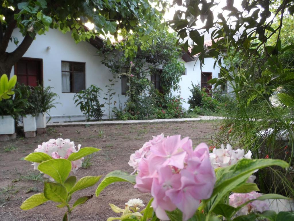 Engin Pension Cirali Exterior photo