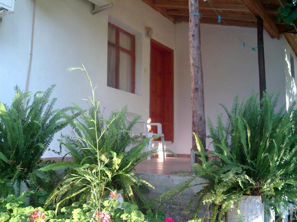 Engin Pension Cirali Exterior photo
