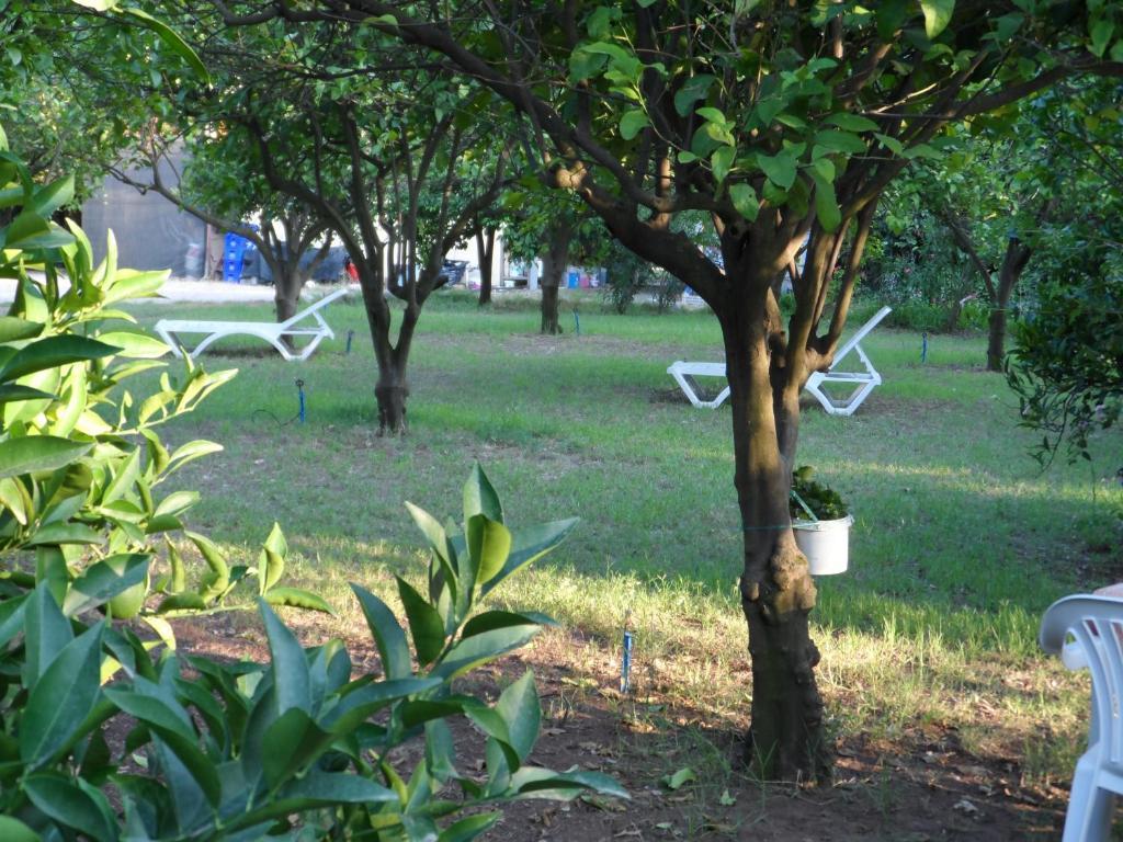 Engin Pension Cirali Exterior photo